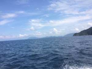 IMG_4633