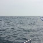 IMG_5920