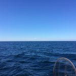 img_6525